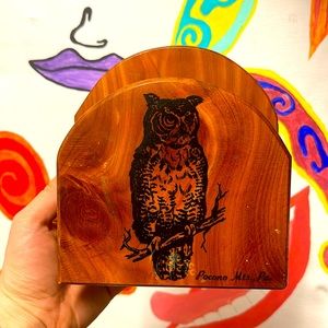 Vintage Pocono Mts., Pa. Souvenir Wooden Napkin Holder with Owl 🦉